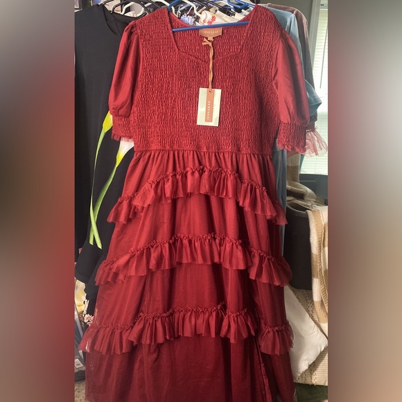 JessaKae Dresses & Skirts - NWT Daphne Dress Rosewood 1X